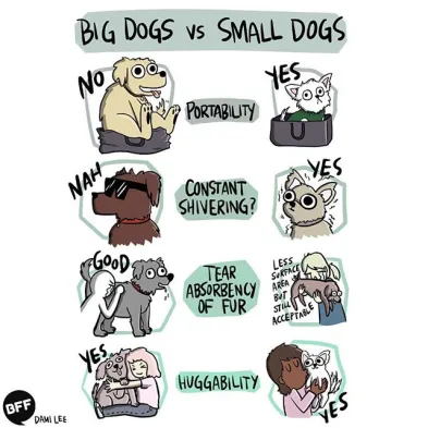 Small vs Big Dogs