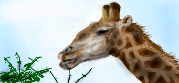 giraffe
